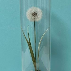 Meet your Posher, Janina